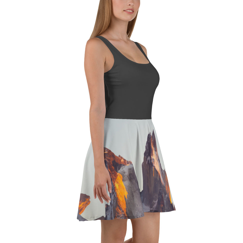 data.musketess Skater Dress